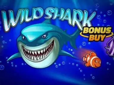 Chances Courtenay Casino screenshot
